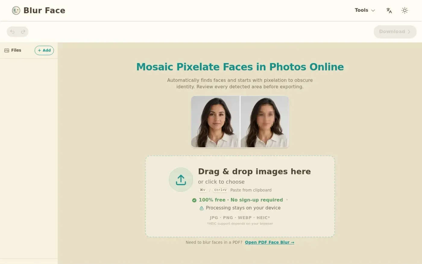 Blur Face — Pixelate face page