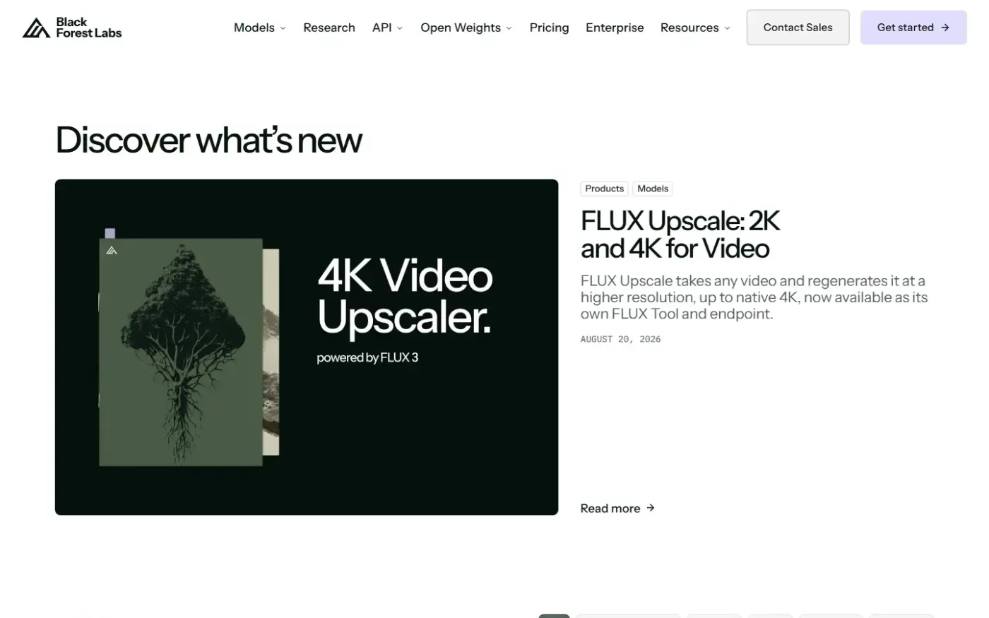 Blackforestlabs — Blog page