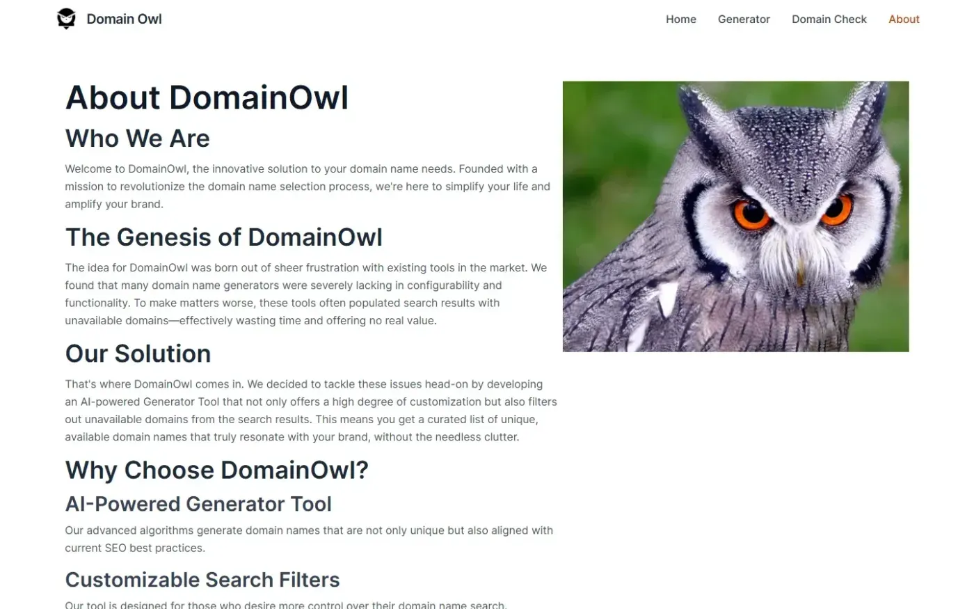 Domainowl — About page