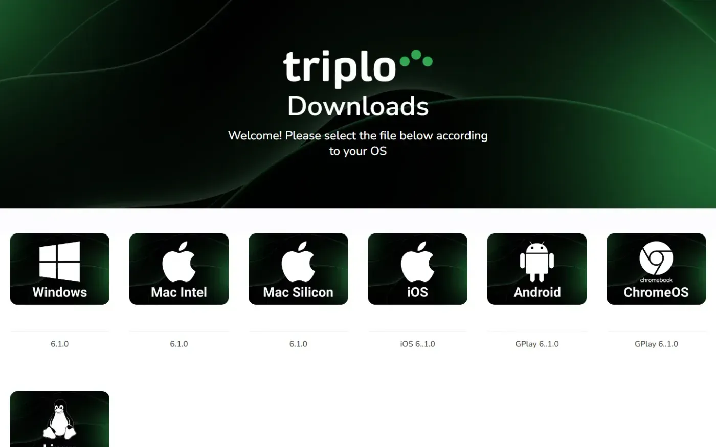 Triplo — Home page