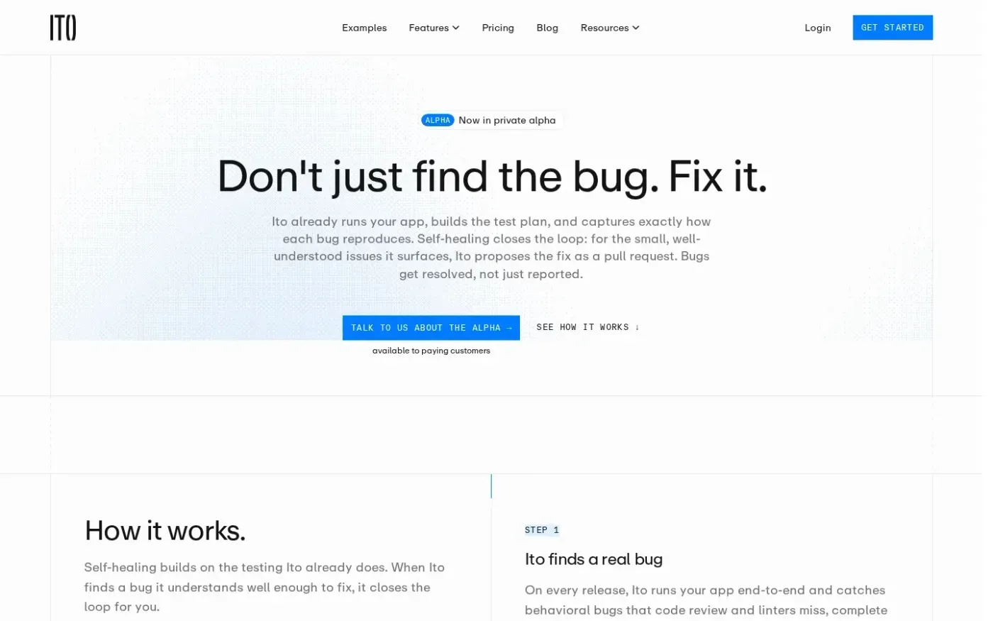 Ito — AI code review that runs your code — Features page