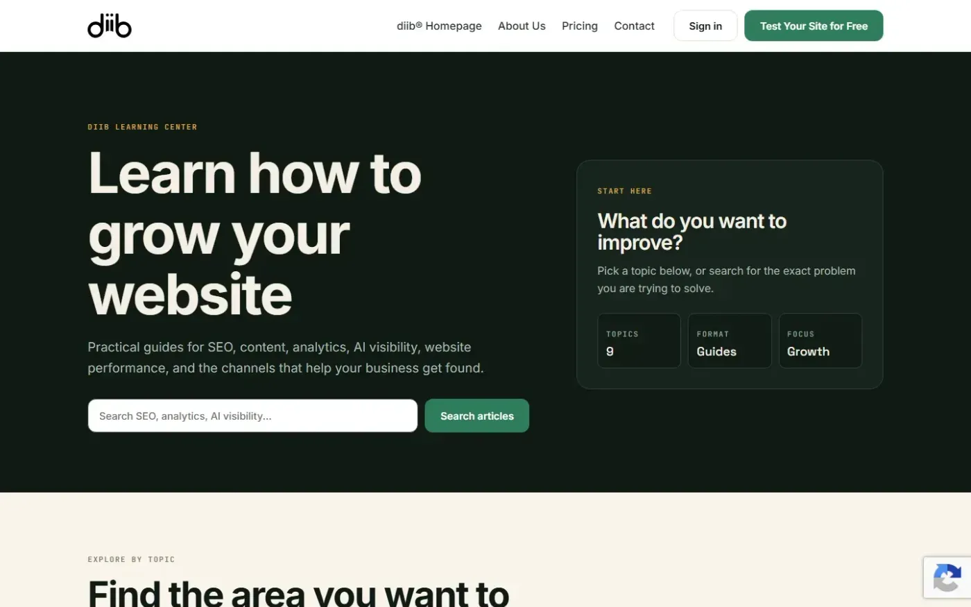 Diib — Learn page